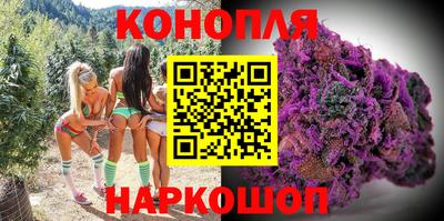 прущие крисы Шебекино
