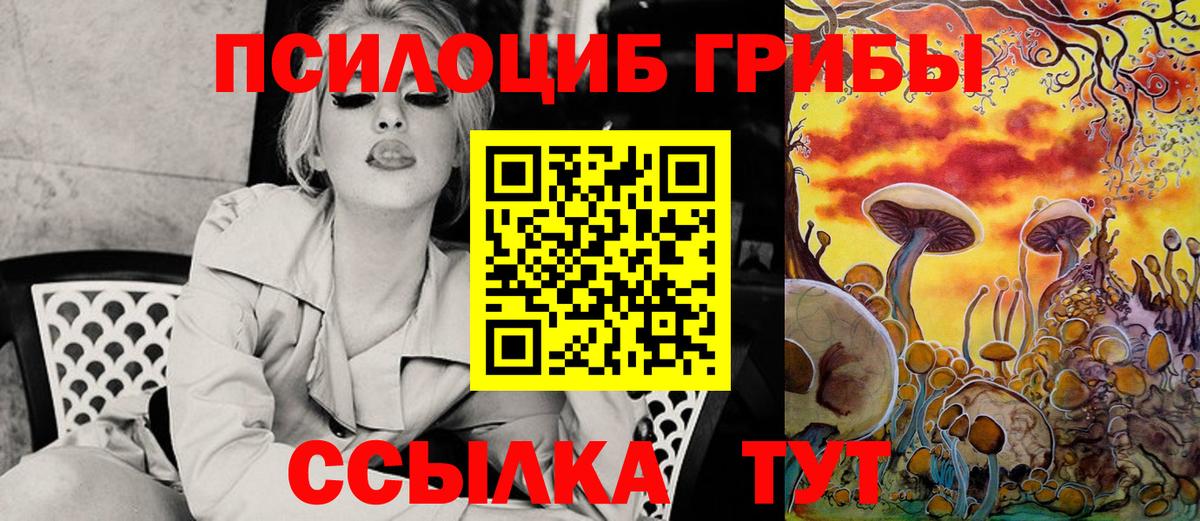цены   Вход с VPN  Новодвинск  Псилоцибиновые грибы GOLDEN TEACHER 