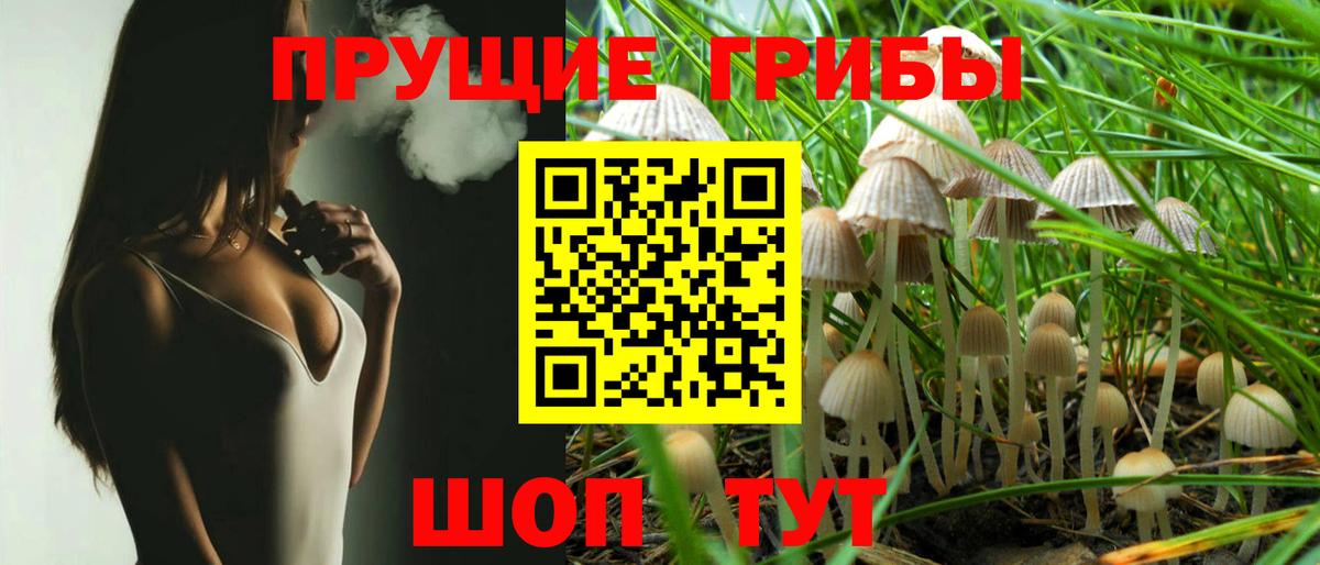 Псилоцибиновые грибы Psilocybine cubensis Новодвинск